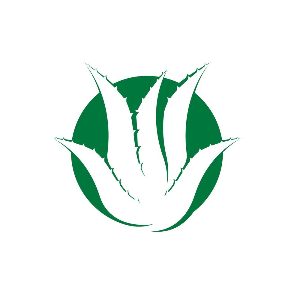 aloe Vera logo icona design simbolo bellezza vettore