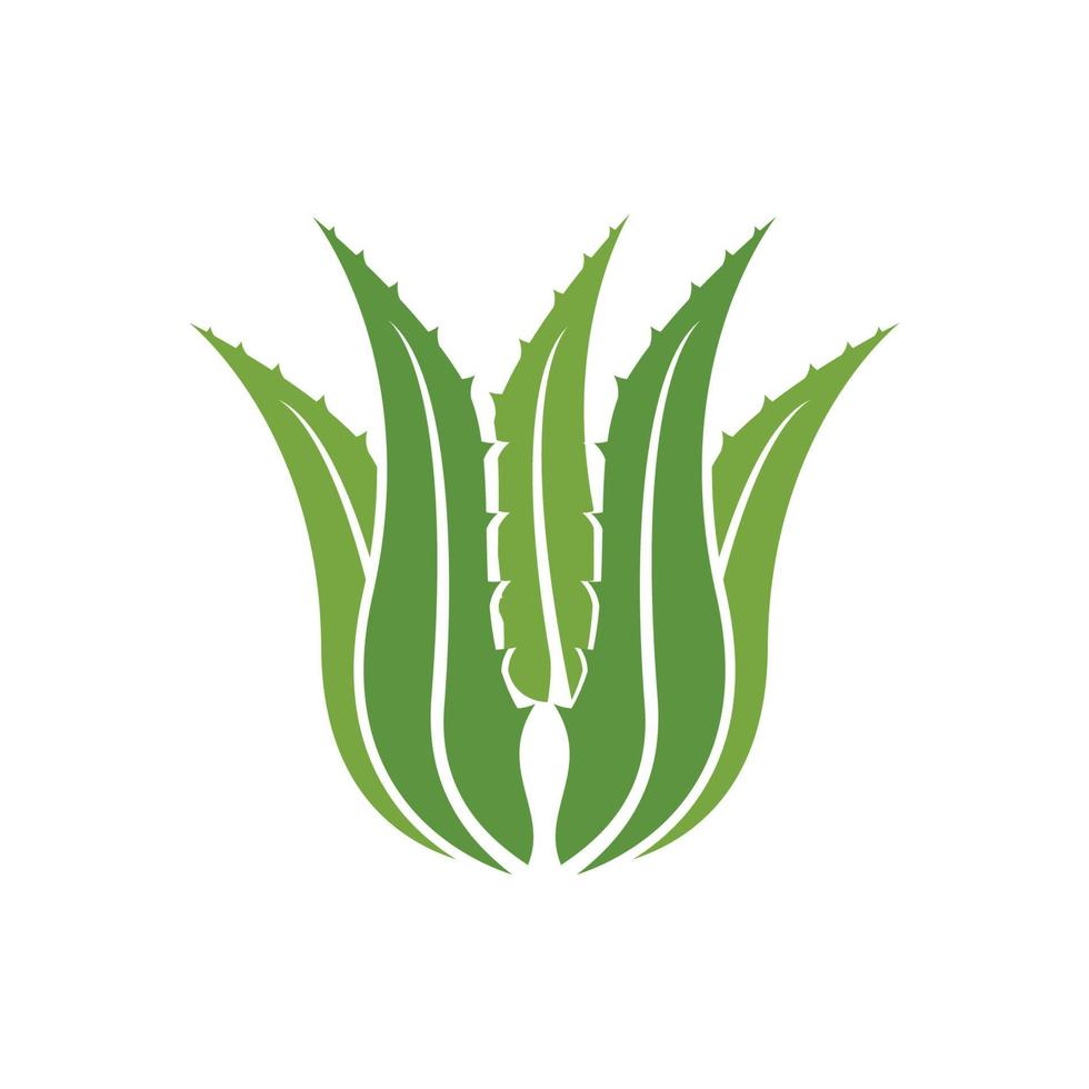 aloe Vera logo icona design simbolo bellezza vettore