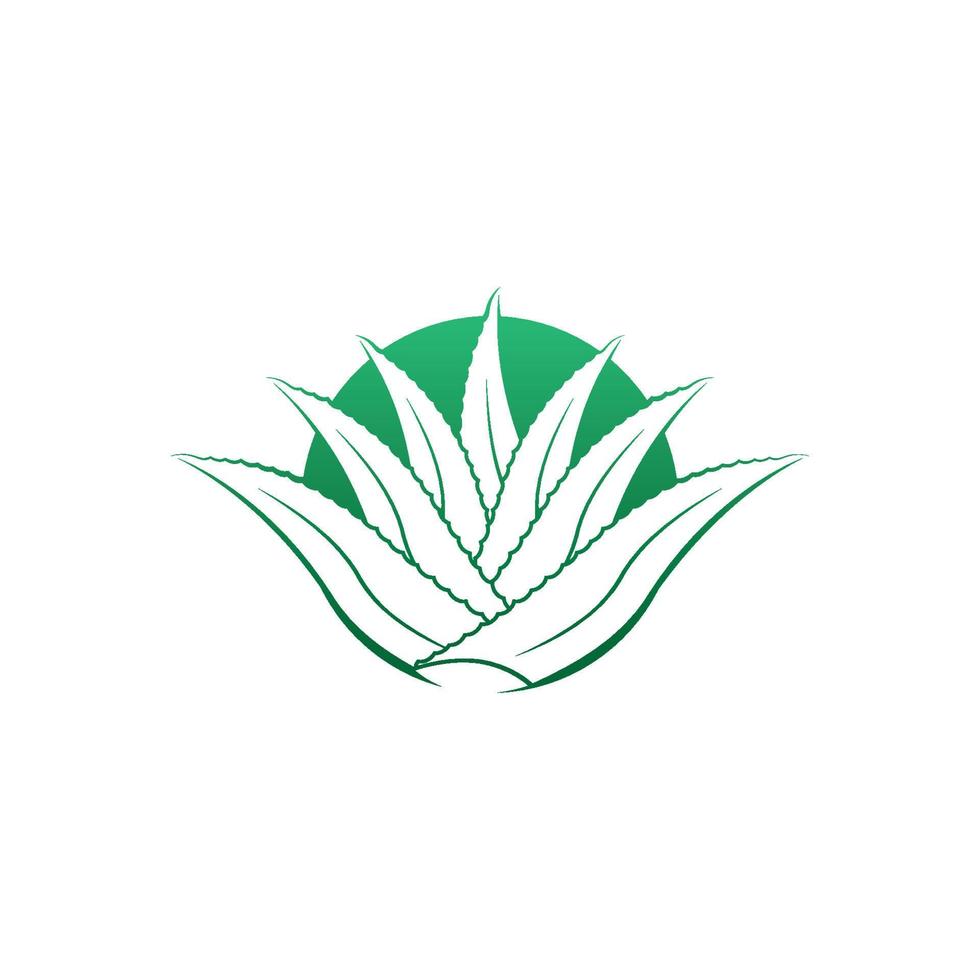 aloe Vera logo icona design simbolo bellezza vettore