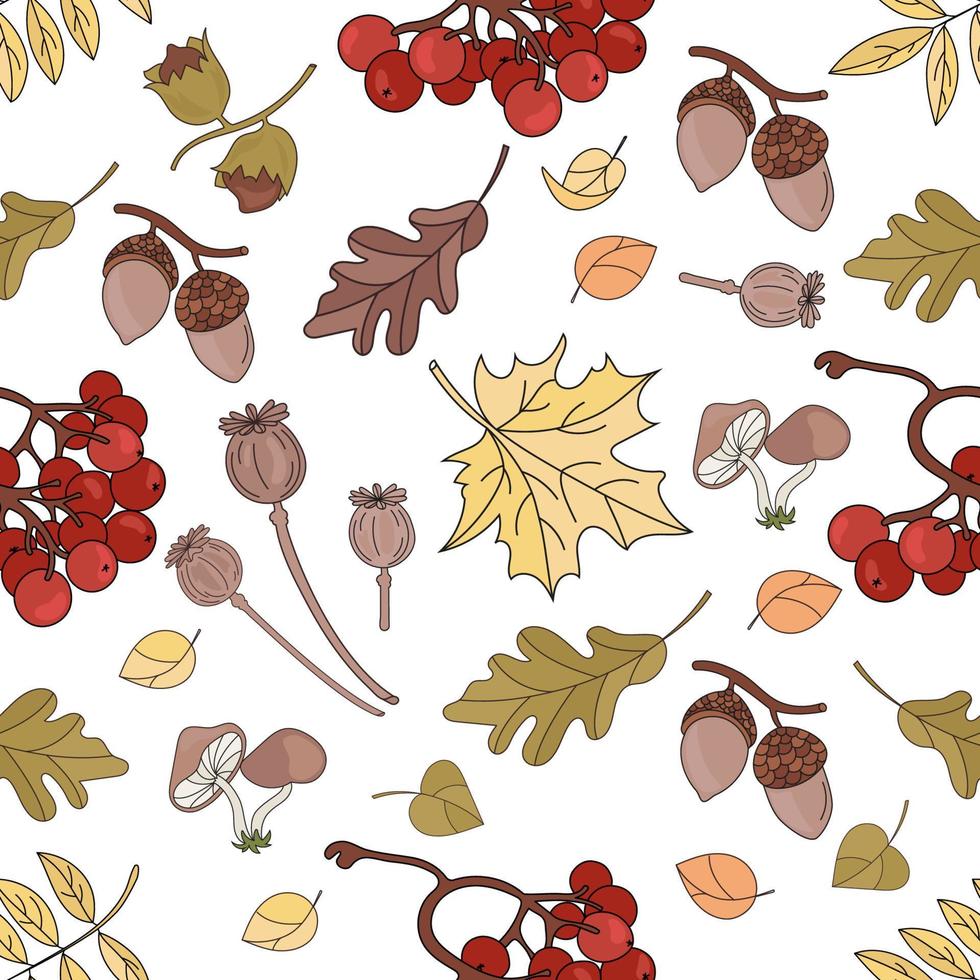 autunno Rowan natura senza soluzione di continuità modello vettore illustrazione