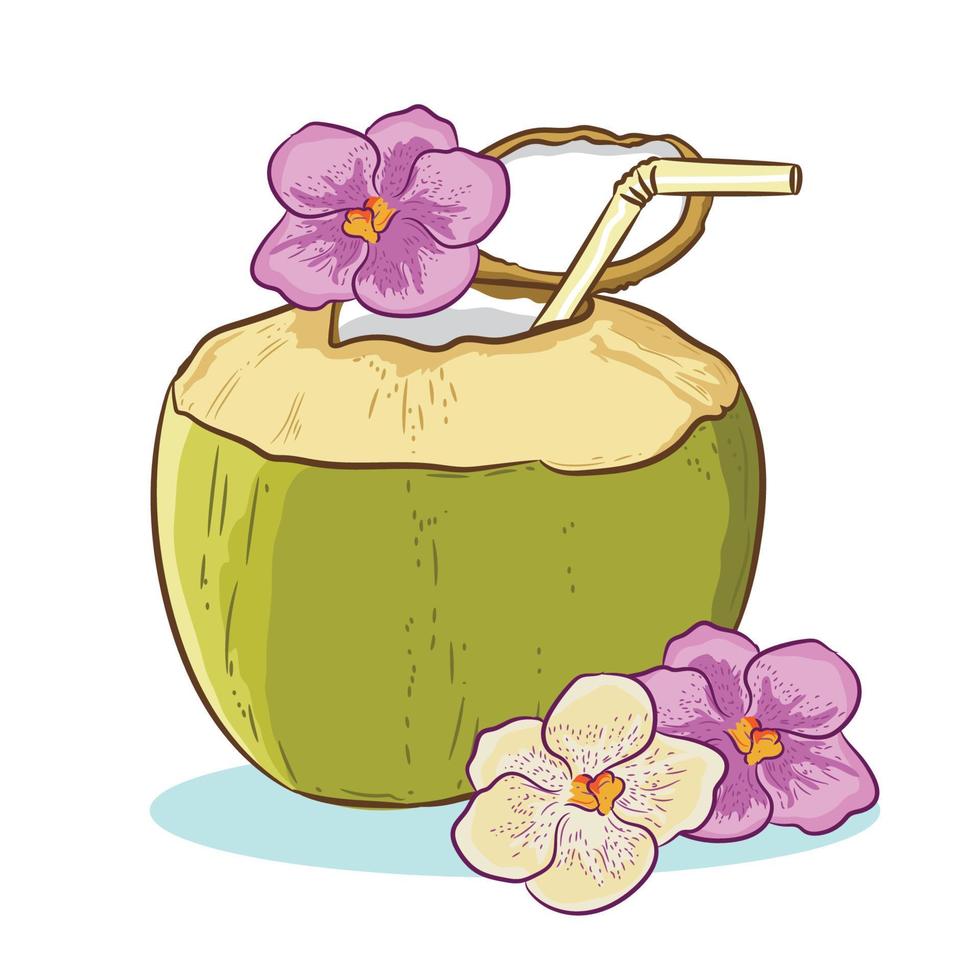 giovane Noce di cocco bevanda con ombrello, fiore e impaurito sole bicchieri vettore illustrazione disegno, Perfetto per manifesto e t camicia design