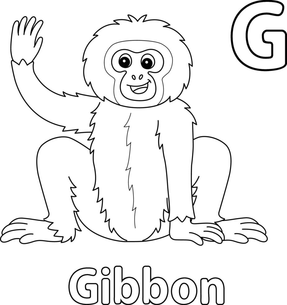 gibbone animale alfabeto abc isolato colorazione g vettore
