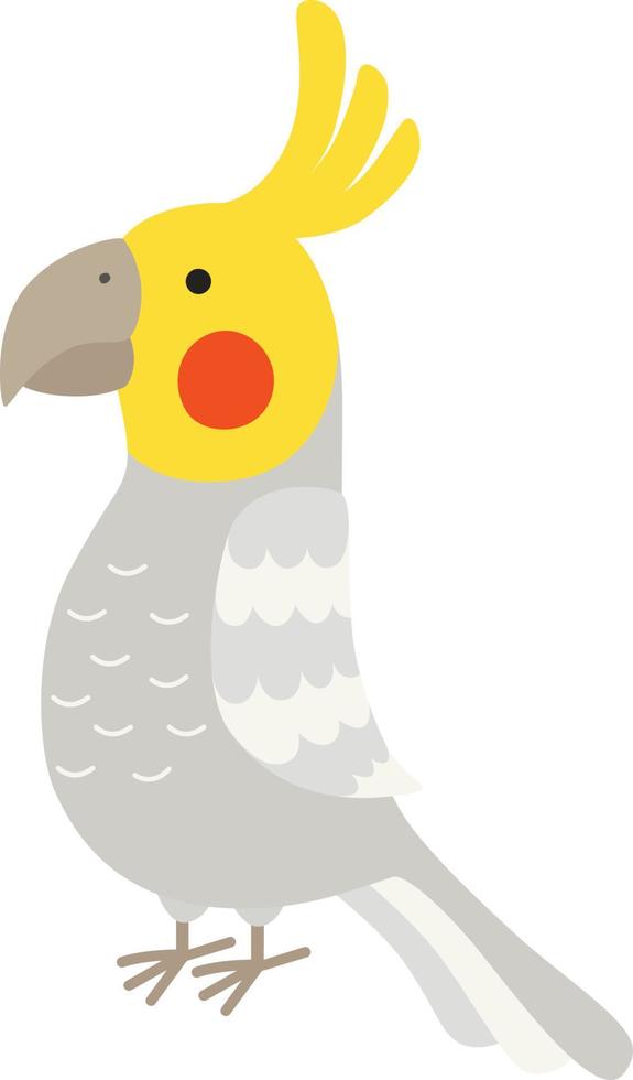 adulto pappagallo di normale grigio cacatua. vettore