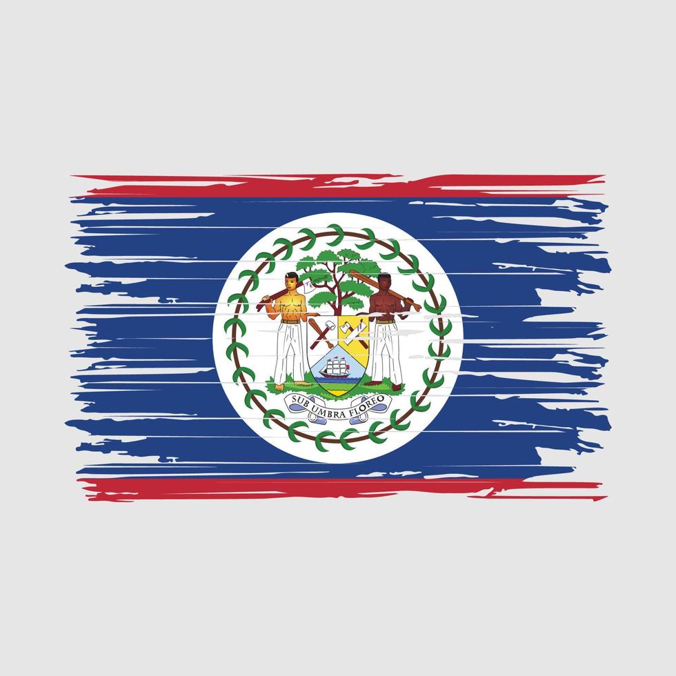 Belize flag pennellate vettore