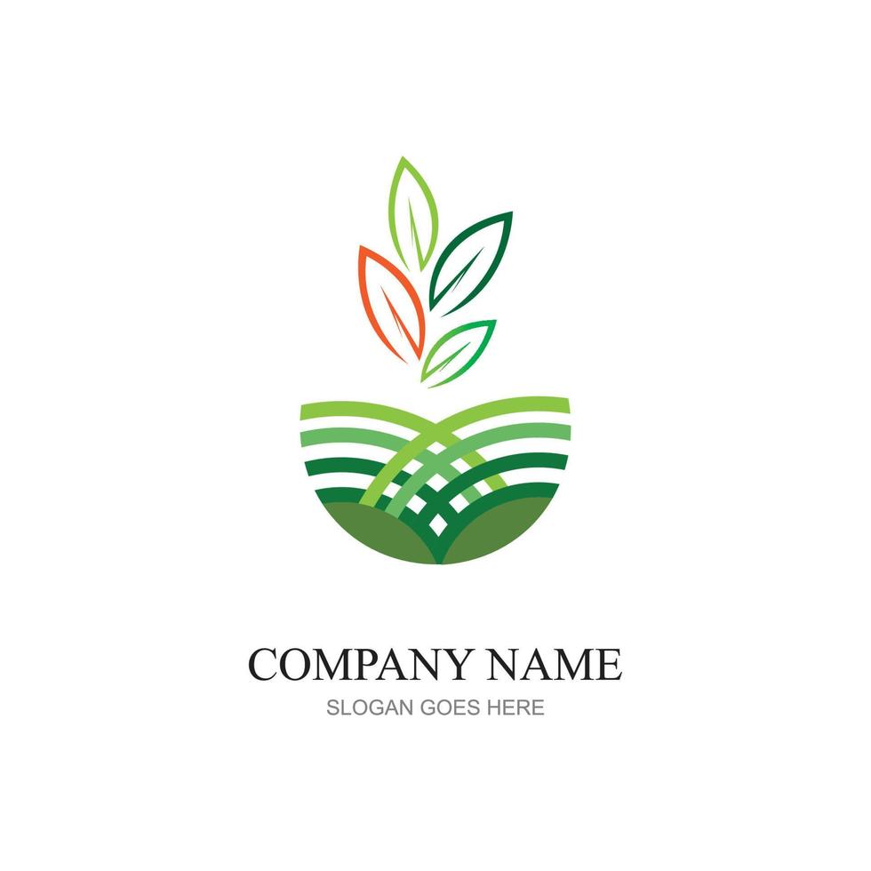 verde pianta azienda agricola vettore logo concetto