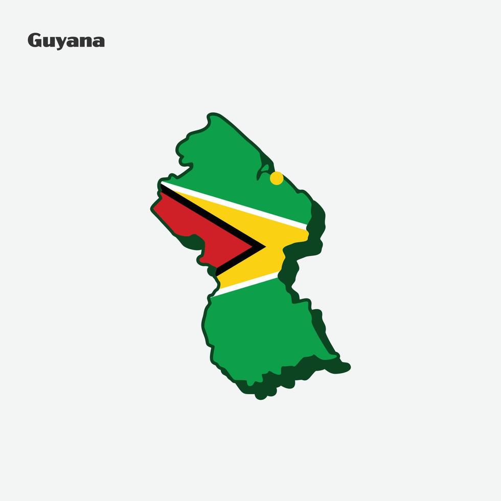 Guyana nazione bandiera carta geografica Infografica vettore