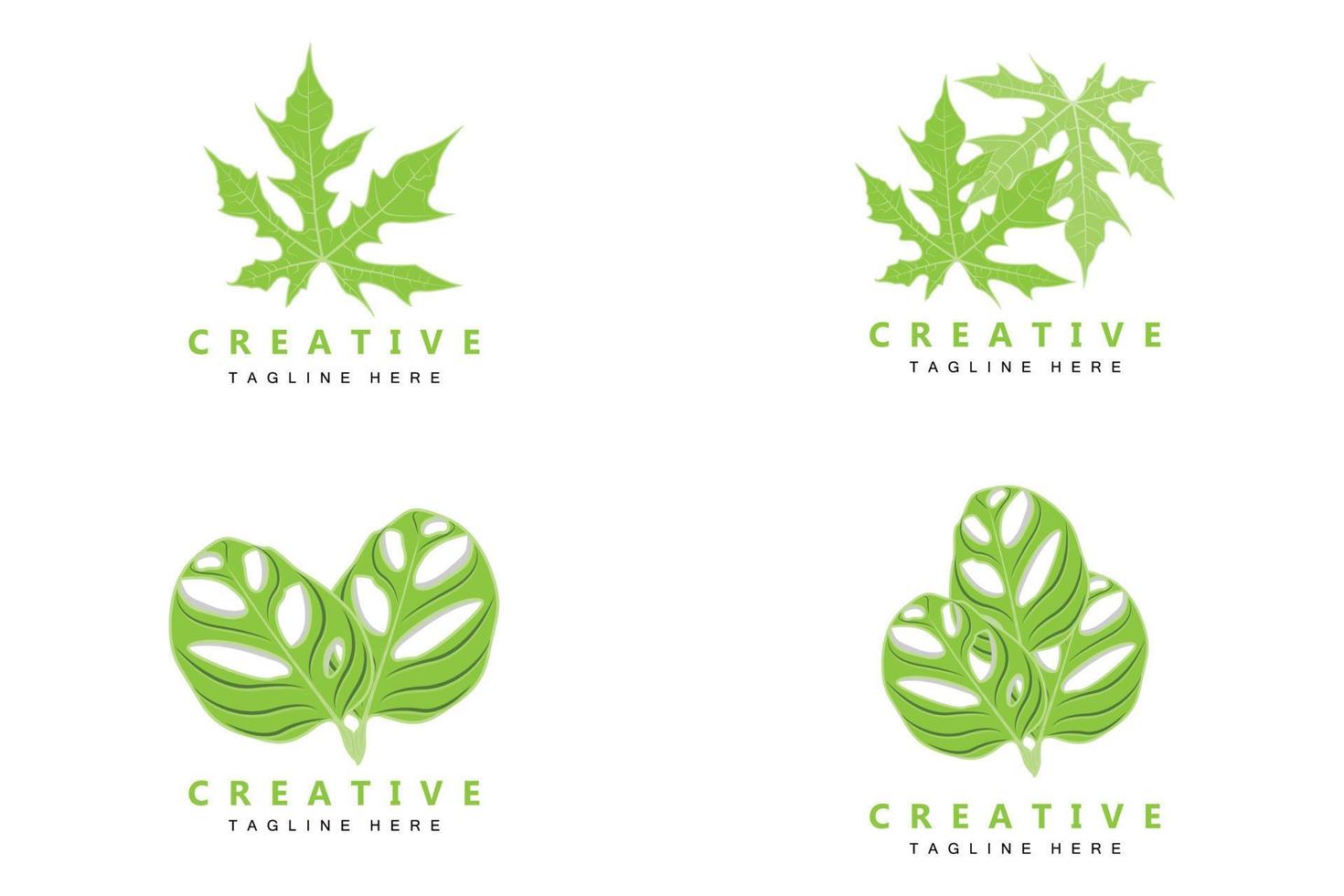 Monstera adansonii foglia logo, verde pianta vettore, albero vettore, raro foglia illustrazione vettore