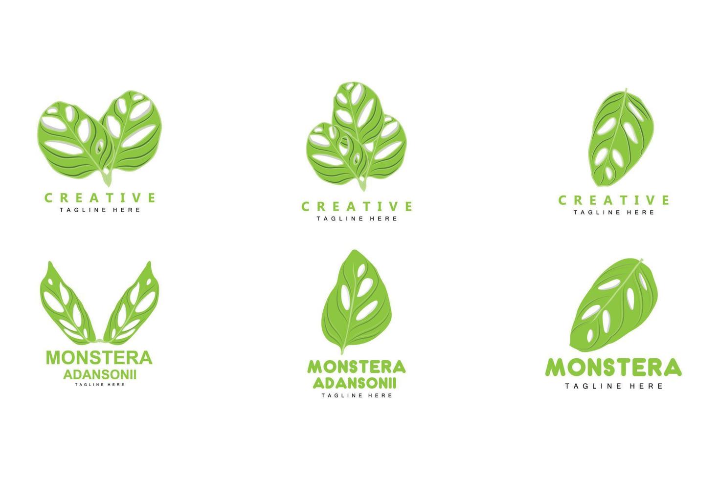 Monstera adansonii foglia logo, verde pianta vettore, albero vettore, raro foglia illustrazione vettore