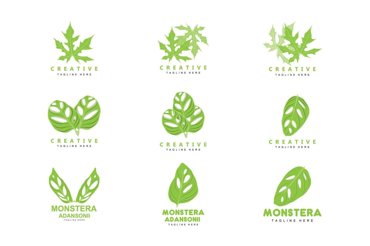 Monstera adansonii foglia logo, verde pianta vettore, albero vettore, raro foglia illustrazione vettore