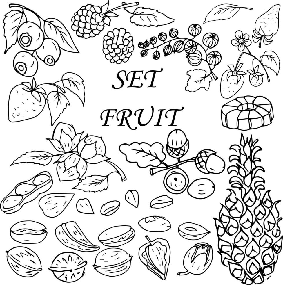 cibo impostato di frutta e frutti di bosco. vettore illustrazione di un' impostato di frutta e frutti di bosco.