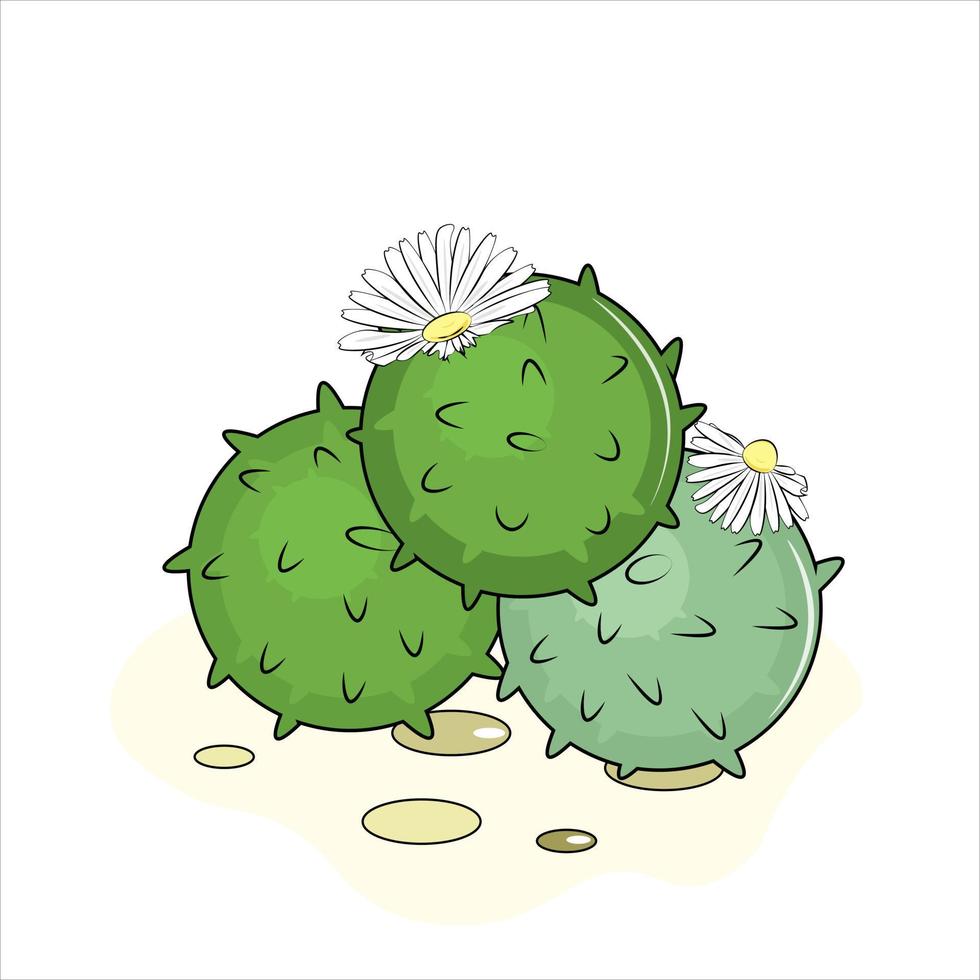 illustrazione di un' verde cactus vettore