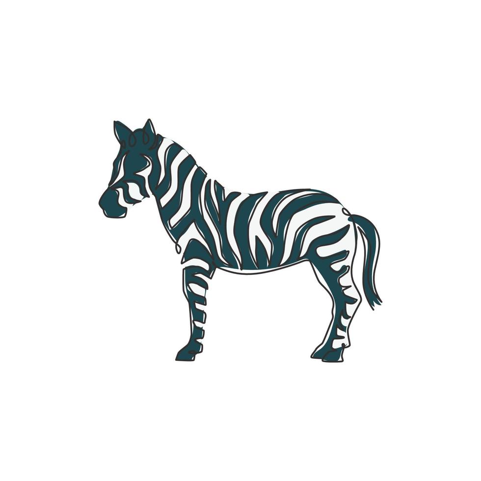 un unico disegno a tratteggio di zebra per l'identità del logo safari del parco nazionale zoo. tipico cavallo africano con concetto di strisce per mascotte parco giochi per bambini. illustrazione di disegno vettoriale di disegno di linea continua