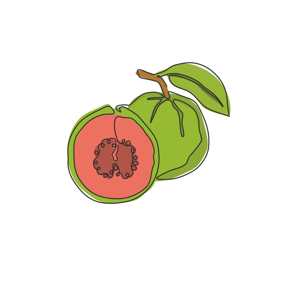 singola linea continua che disegna guava java organica sana intera e mezza affettata per l'identità del logo del frutteto. concetto di frutta fresca per l'icona del giardino. illustrazione di vettore di progettazione grafica di disegno di una linea moderna