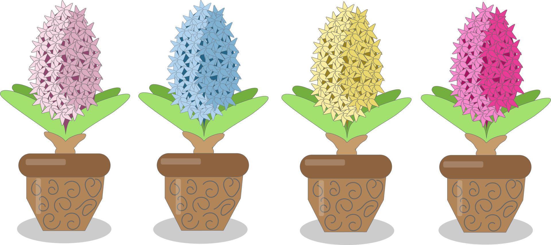 impostato di colorato giacinti nel pentole vettore