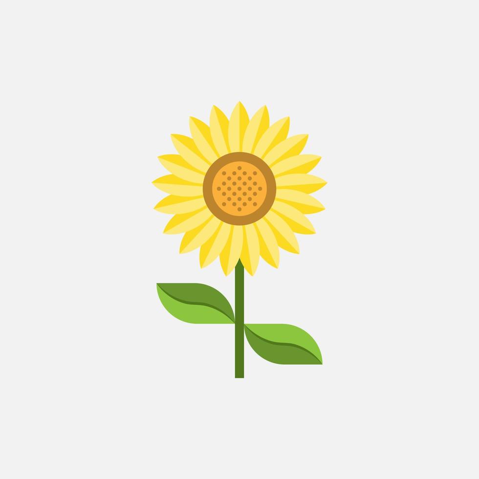 girasole su bianca sfondo vettore clip arte. giallo fiore, pianta vettore illustrazione. gratuito vettore clip arte.