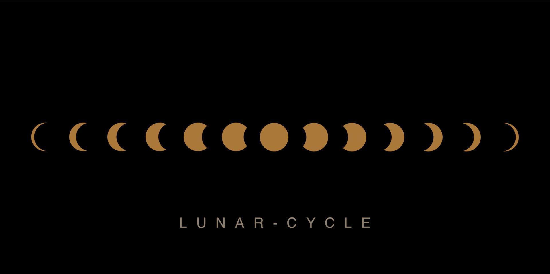 lunare ciclo su nero sfondo con d'oro colore. vettore