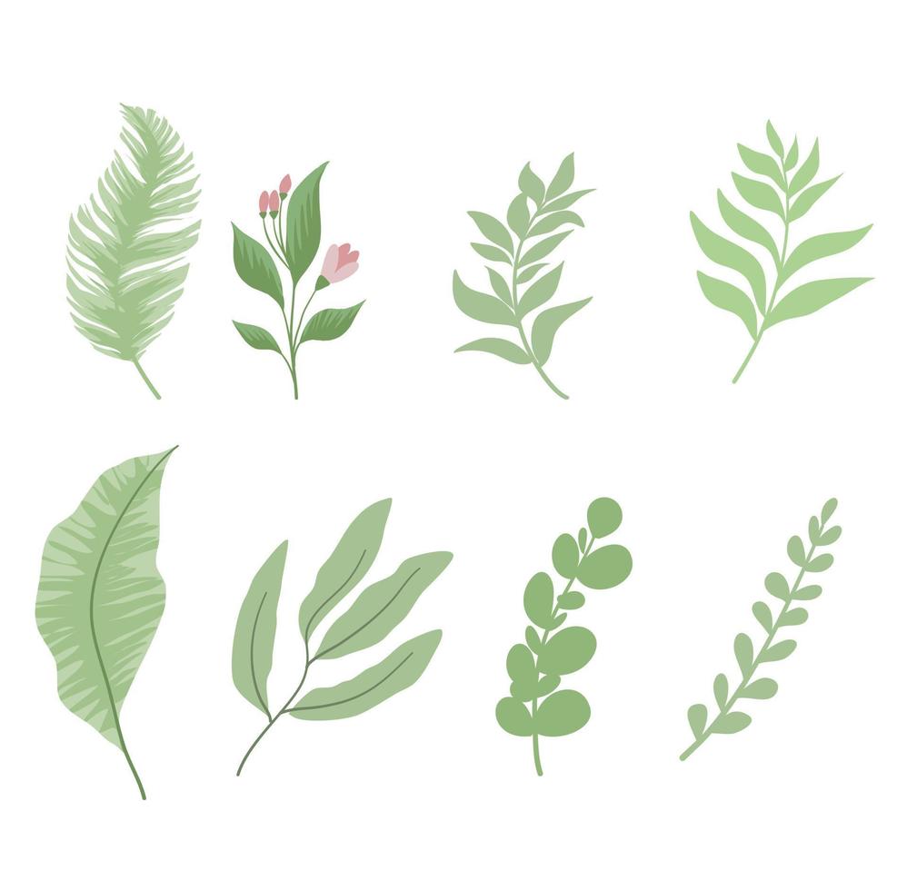 raccolta di foglie verdi vettore