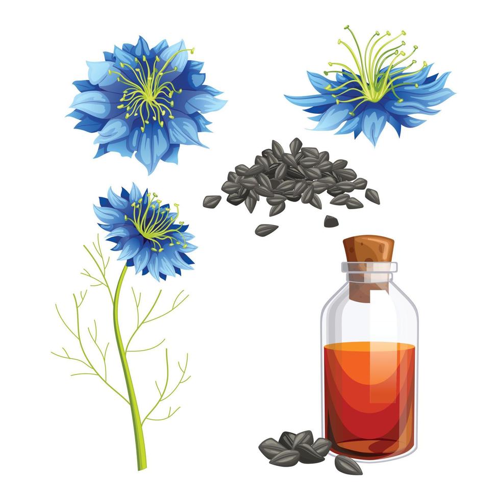 Nigella sativa cumino impostato cartone animato vettore illustrazione