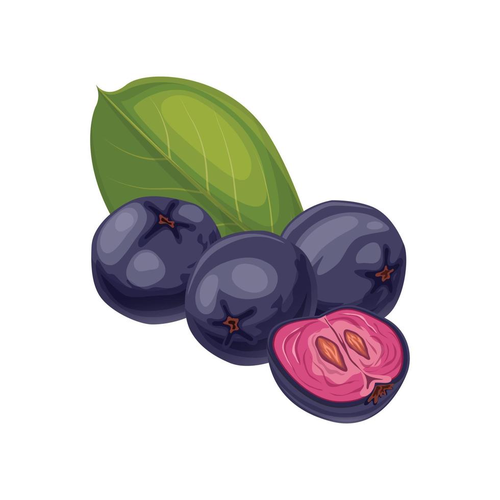 chokeberry cibo bacca cartone animato vettore illustrazione