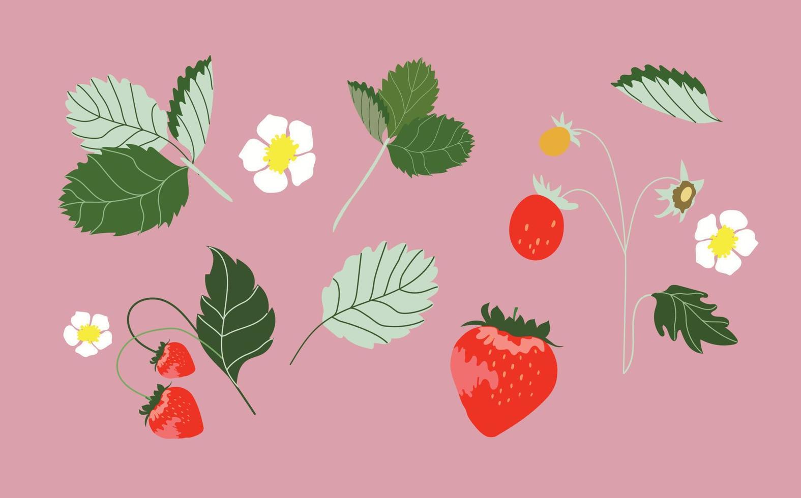 impostato di isolato illustrazioni di fragole. rosso frutti di bosco, fiori e verde le foglie. fragola. collezione di moderno mano disegnato vettore illustrazioni per ragnatela, Stampa design.