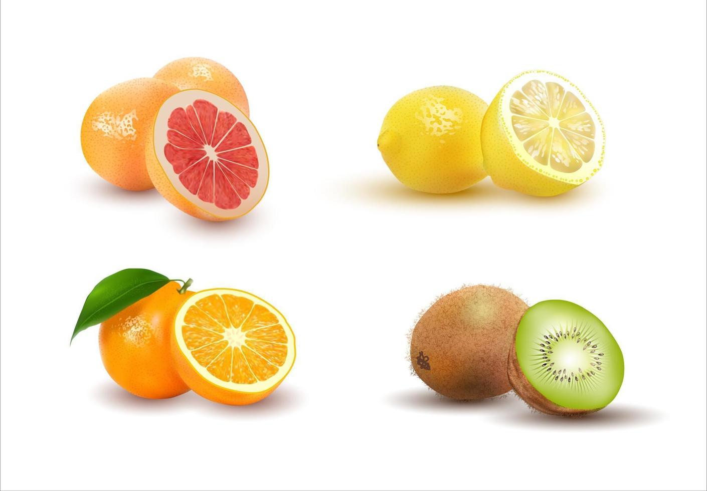 set realistico di frutta illustrazione vettoriale isolato su bianco