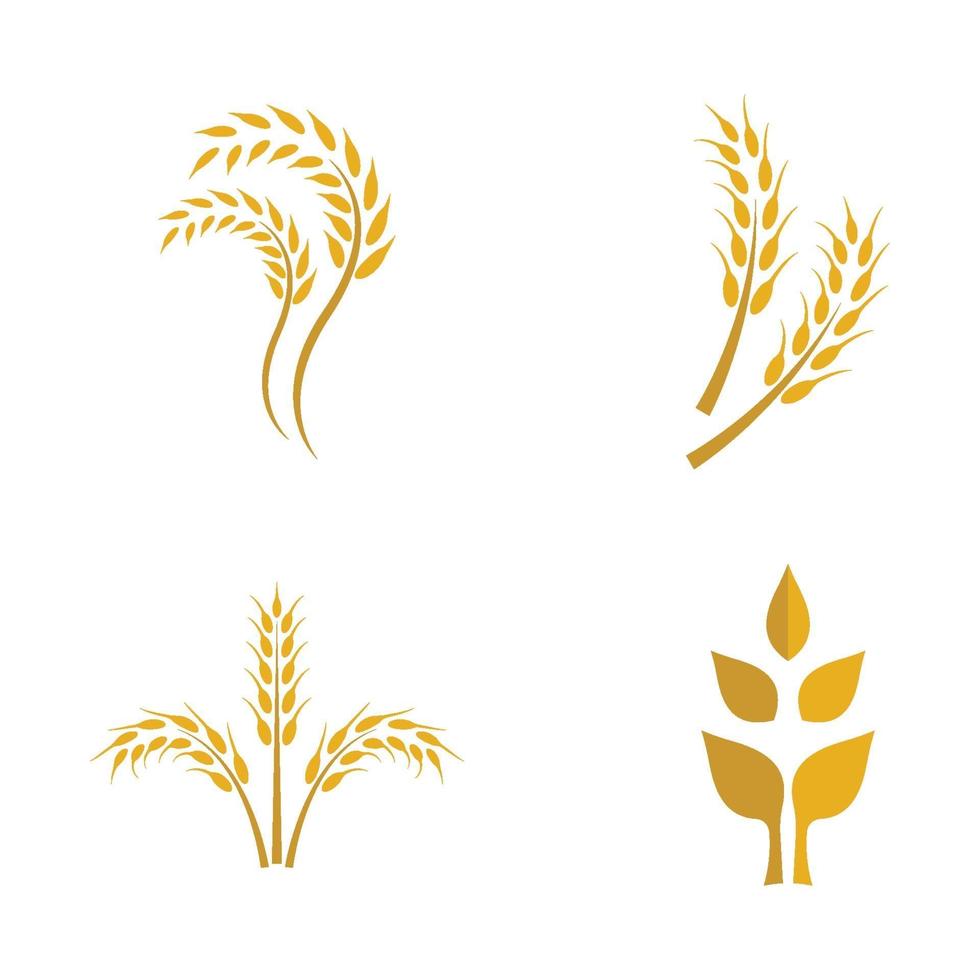 immagini del logo di grano se vettore