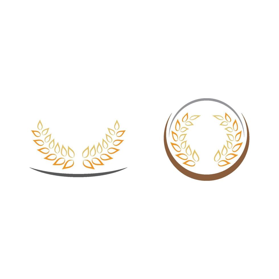 immagini del logo di grano vettore