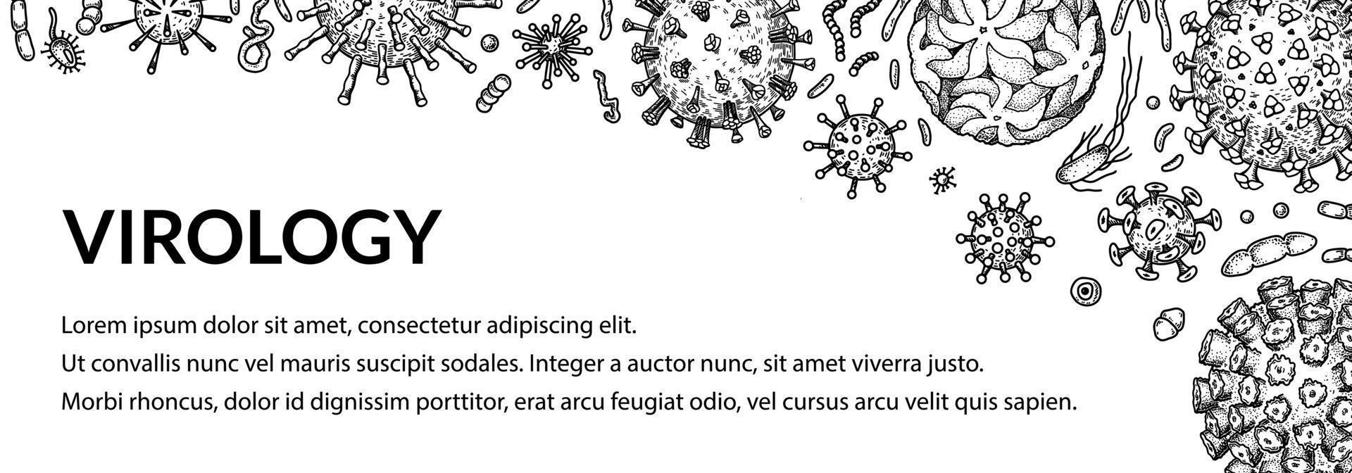 virus orizzontale sfondo nel schizzo stile. mano disegnato batteri, germe, microrganismo. microbiologia scientifico design. vettore illustrazione nel schizzo stile