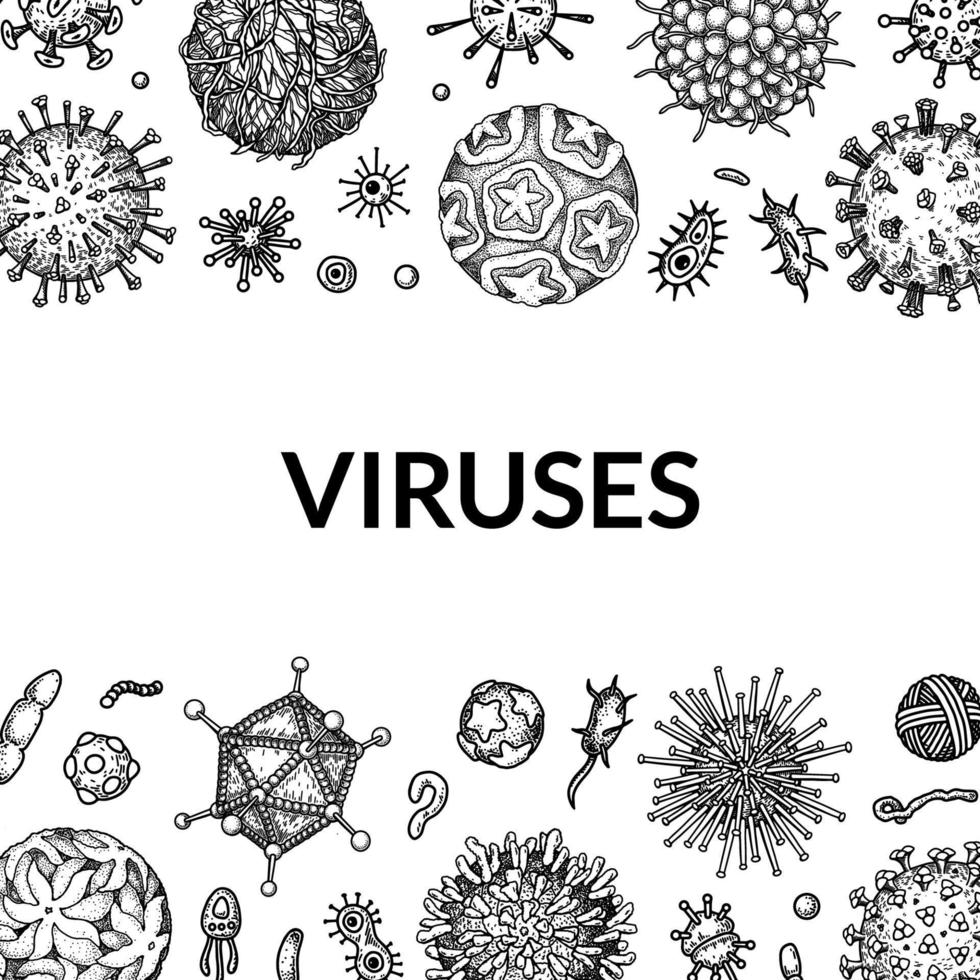 virus piazza sfondo nel schizzo stile. mano disegnato batteri, germe, microrganismo. microbiologia scientifico design. vettore illustrazione nel schizzo stile