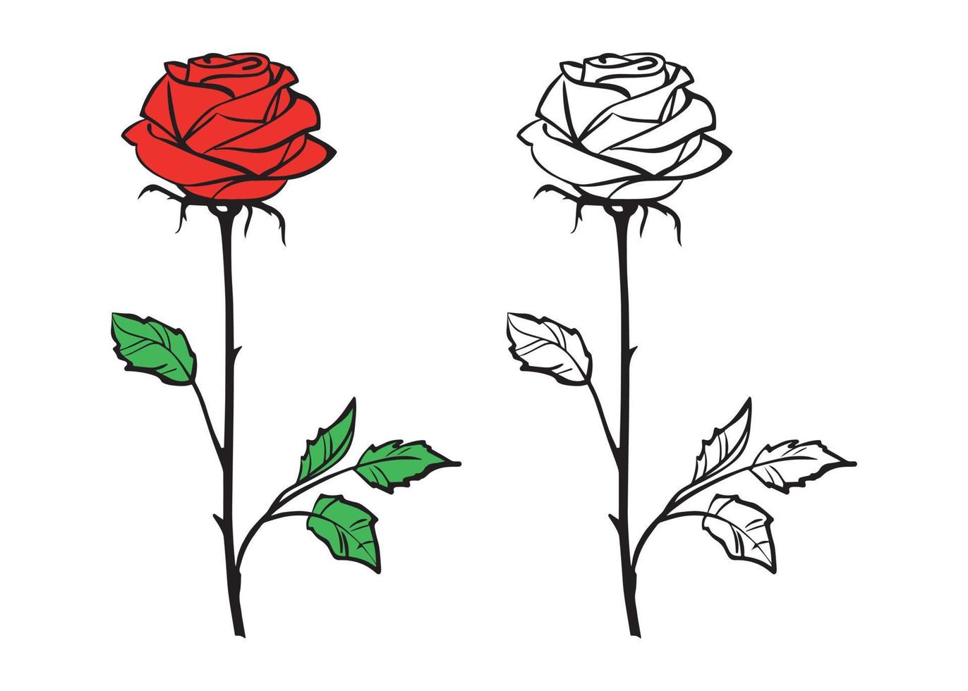 altamente dettagliato fiore di rosso rosa mano disegnato vettore illustrazione isolato su trasparente
