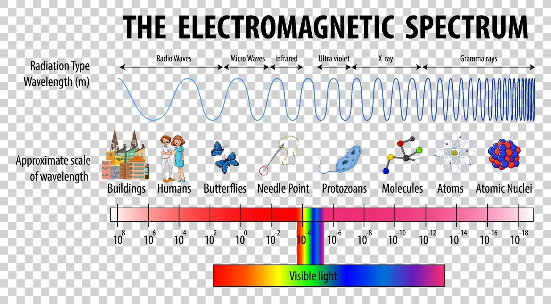 diagramma dello spettro elettromagnetico della scienza vettore