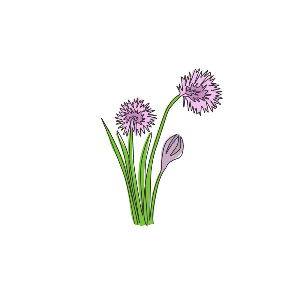 singolo disegno a tratteggio di allium tuberosum fresco di bellezza per il logo del giardino. concetto di fiore di erba cipollina decorativa per la stampa di poster artistici per la decorazione della parete di casa. illustrazione vettoriale di disegno di disegno di linea continua moderna