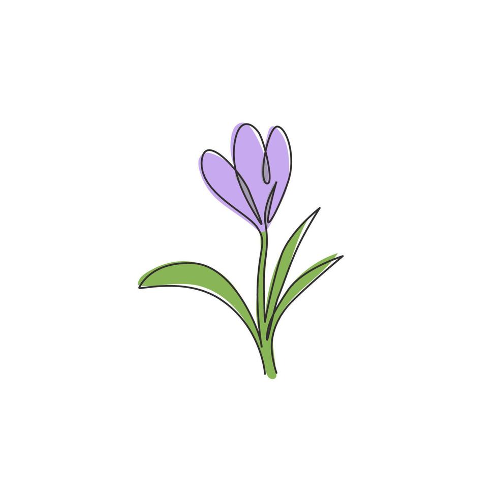 un disegno a tratteggio di croci fresche di bellezza per il logo del giardino. concetto di fiore di croco decorativo stampabile per poster di stampa artistica da parete per la decorazione della casa. illustrazione vettoriale di disegno di disegno di linea continua alla moda