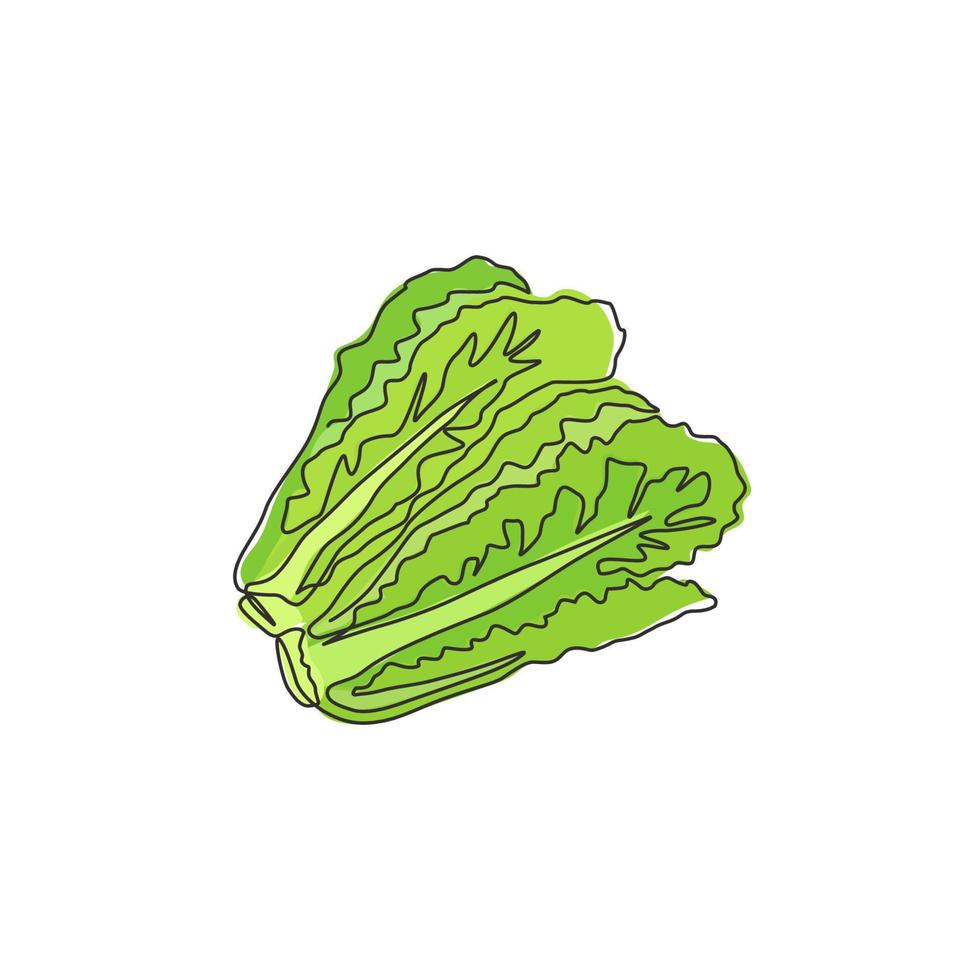 una singola linea che disegna foglie di lattuga verde biologica sana per l'identità del logo della fattoria. concetto di ingrediente di insalata fresca per icona di verdure. illustrazione vettoriale grafica di disegno di disegno di linea continua moderna