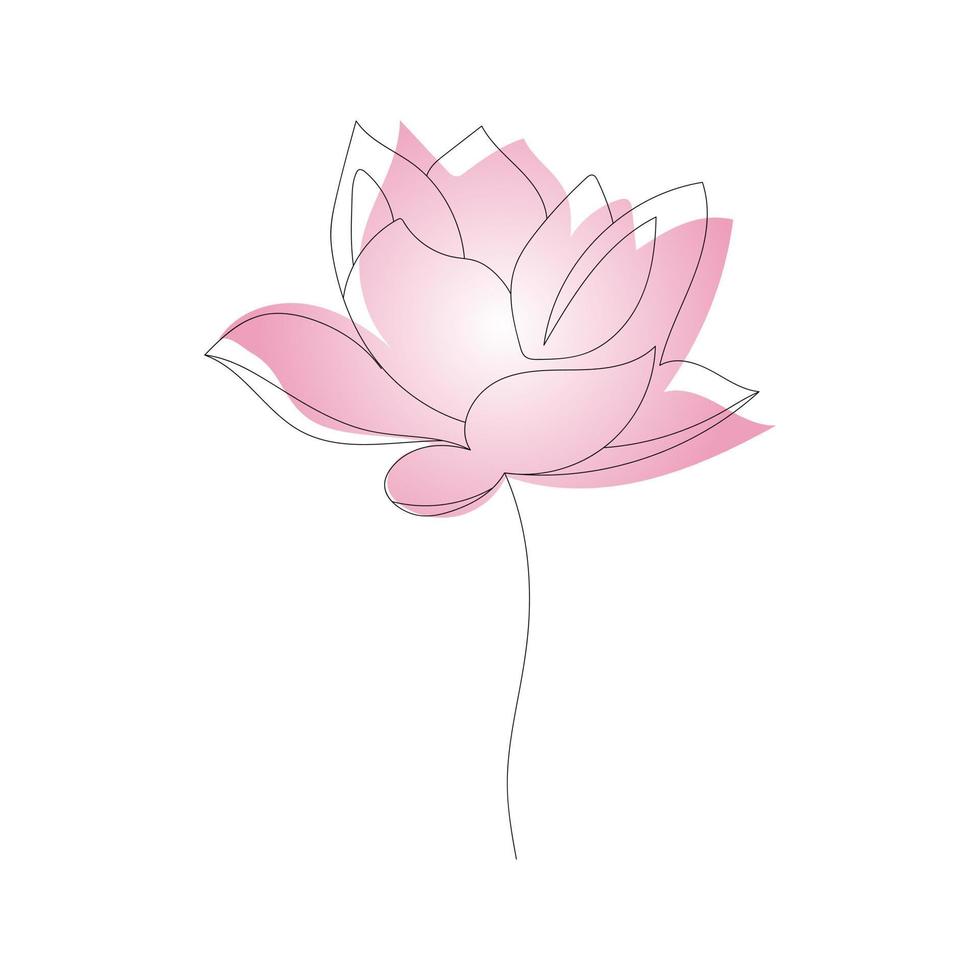 rosa loto fiore con uno continuo linea vettore