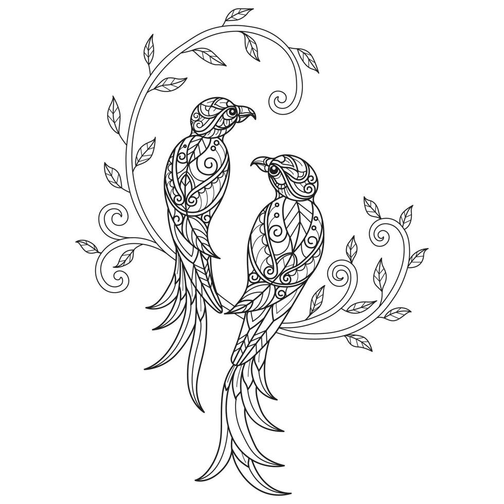 uccelli e edera mano disegnato per adulto colorazione libro vettore