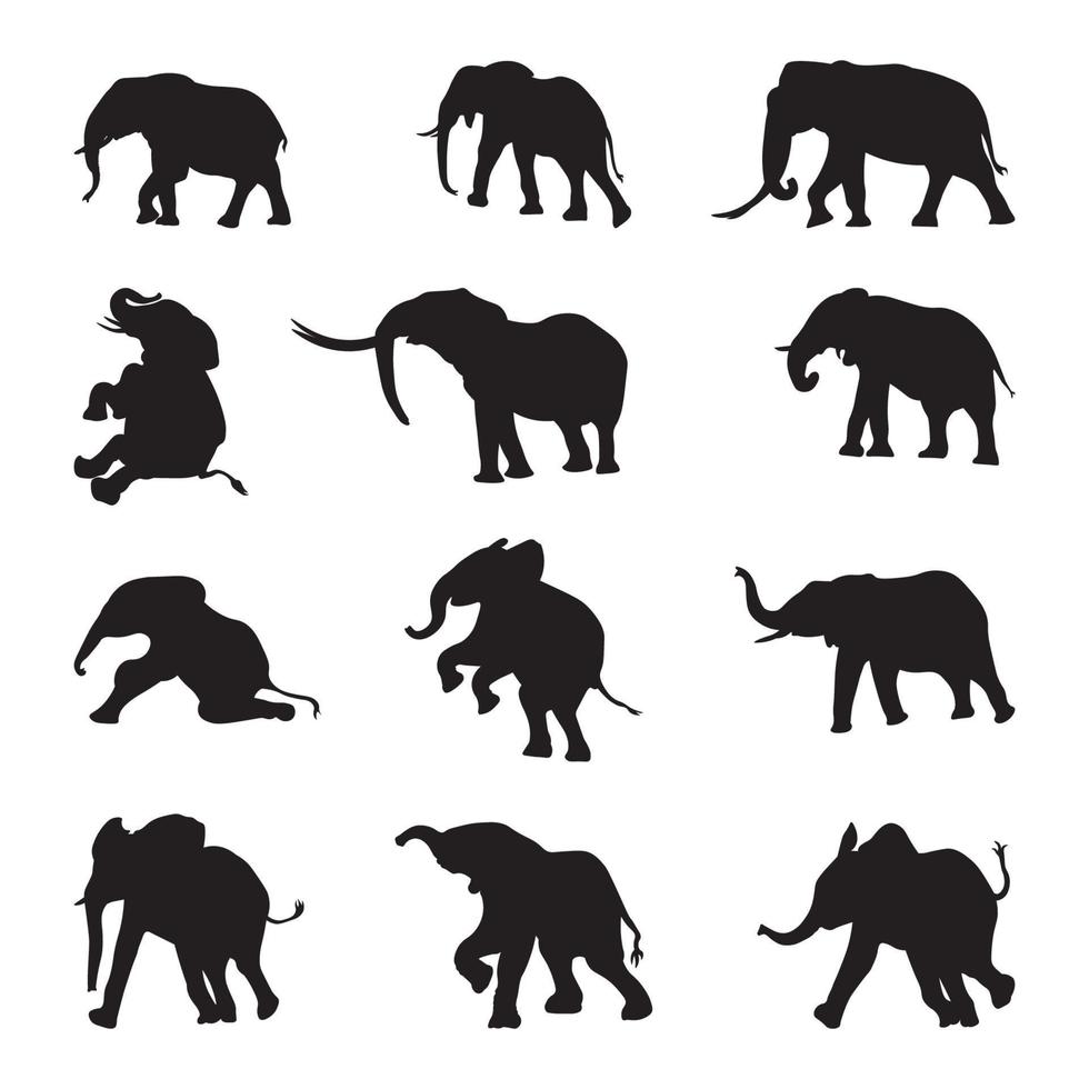 impostato elefante silhouette vettore illustrazione.