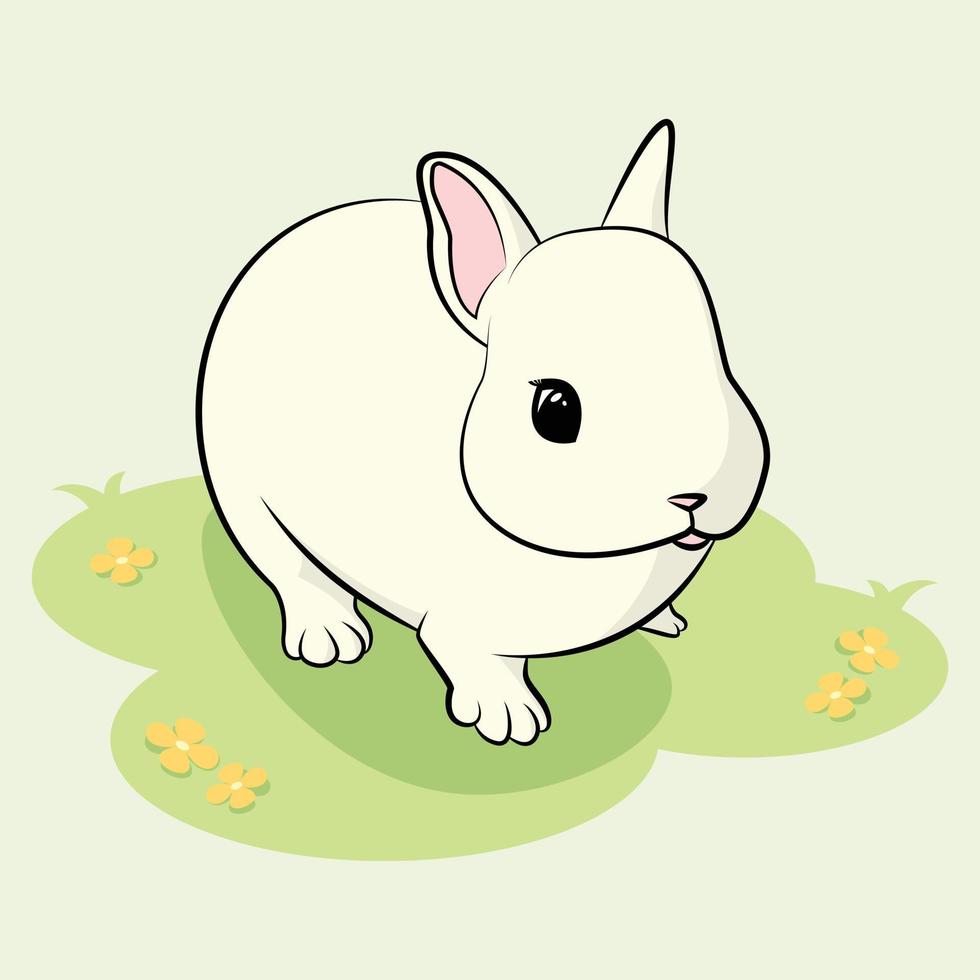 carino bianca coniglietto coniglio vettore