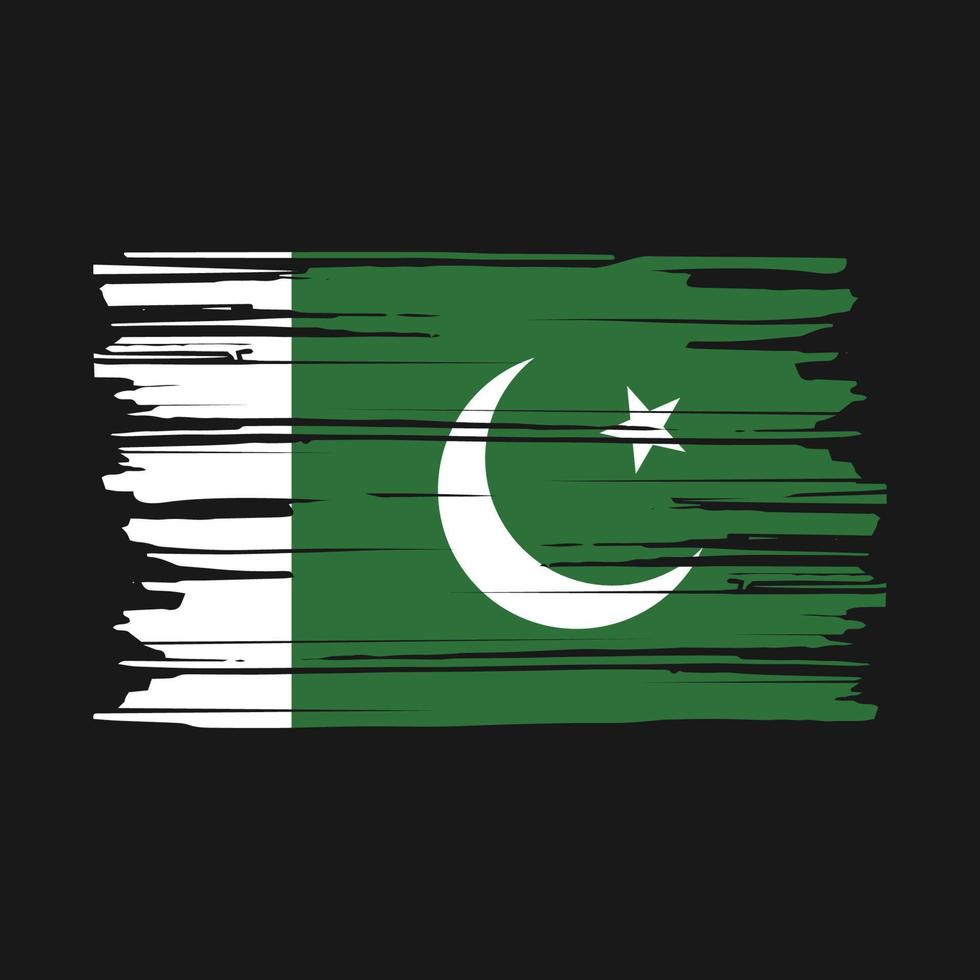 pennello bandiera pakistan vettore