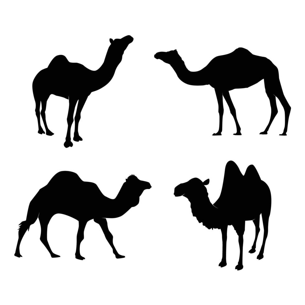 impostato di cammello sagome. vettore illustrazione