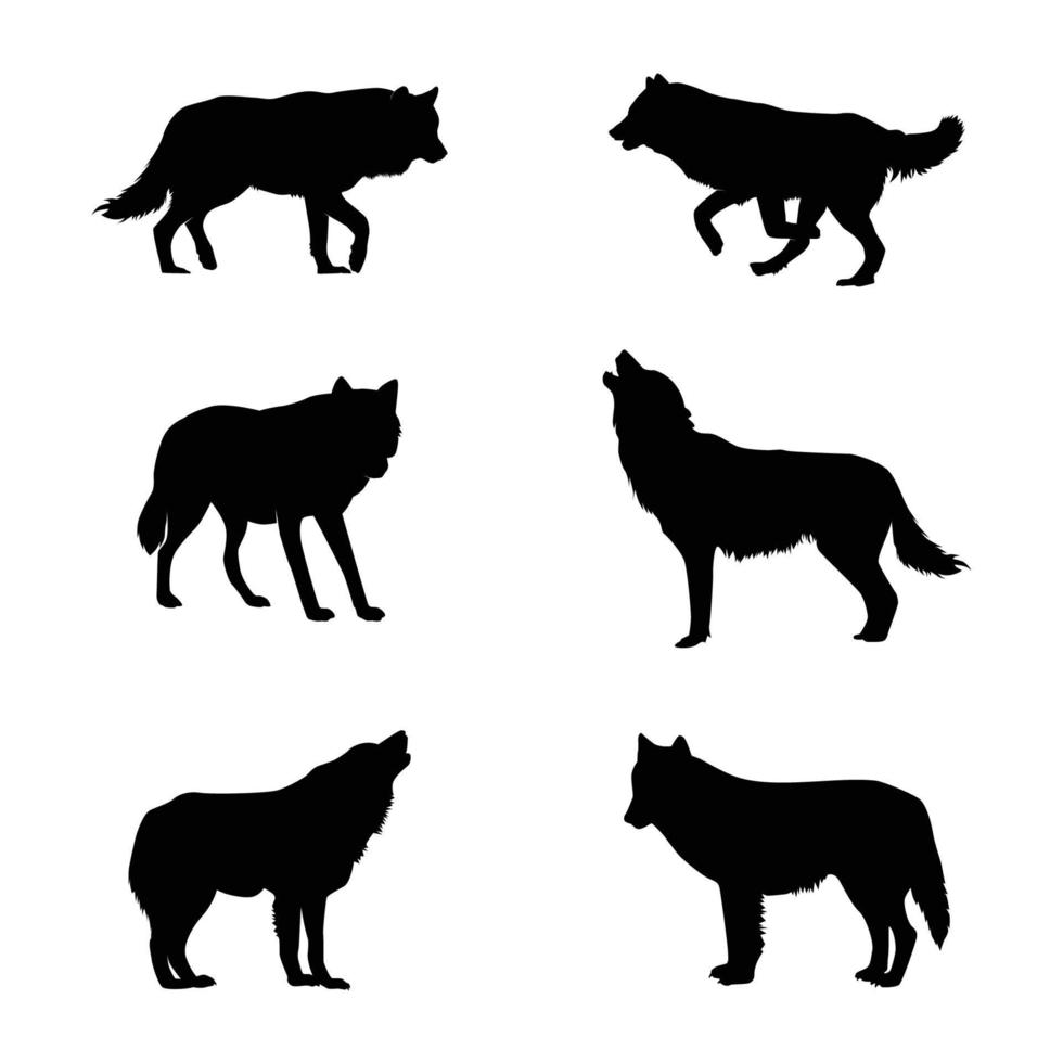 vettore illustrazione di lupo silhouette su bianca sfondo