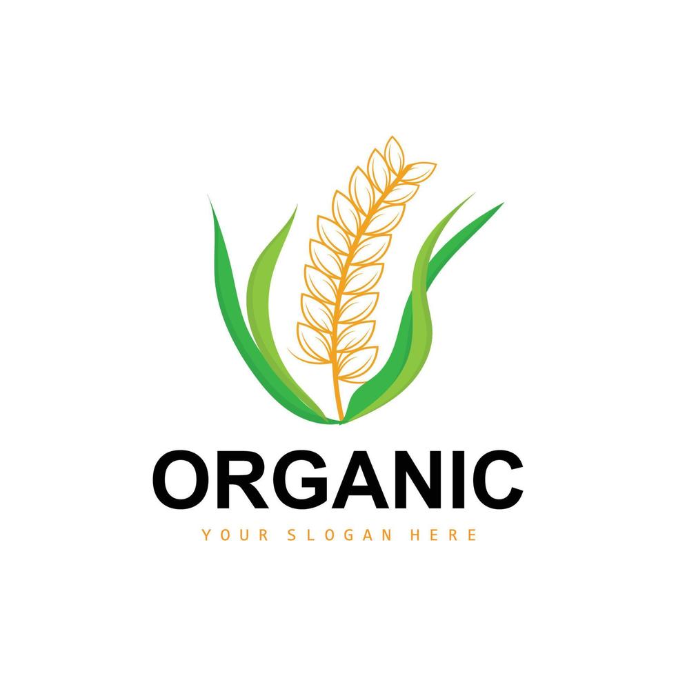 Grano riso logo, agricolo biologico impianti vettore, lusso design d'oro forno ingredienti vettore