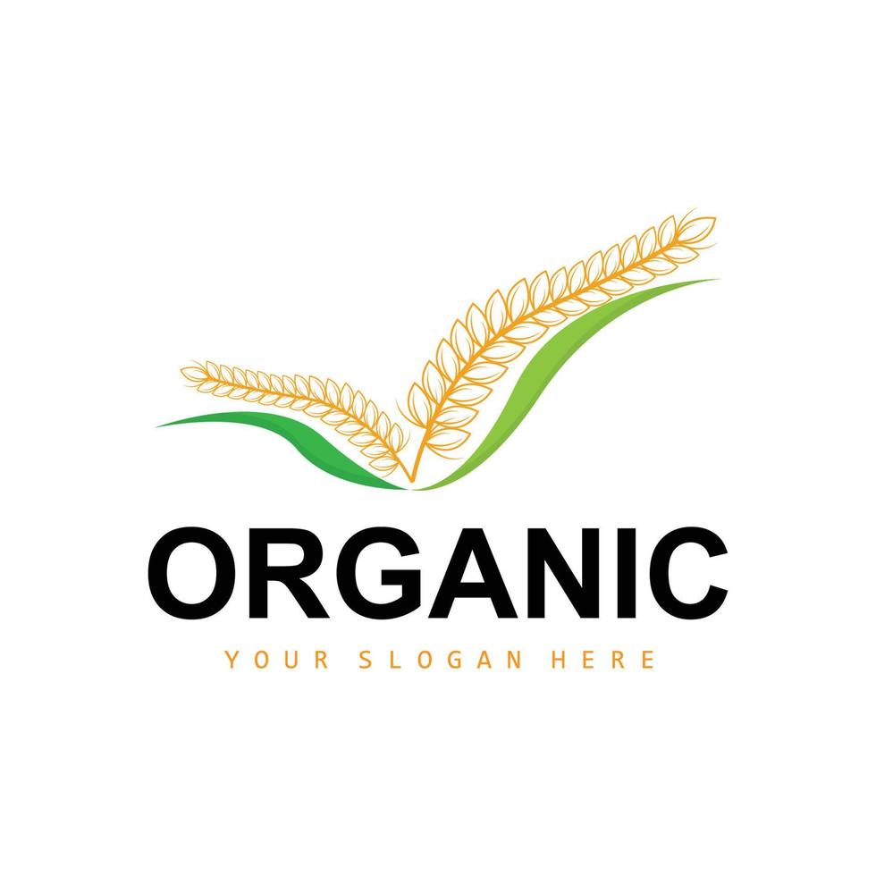 Grano riso logo, agricolo biologico impianti vettore, lusso design d'oro forno ingredienti vettore