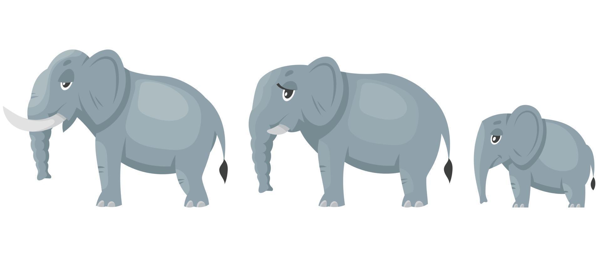 vista laterale della famiglia di elefanti. vettore