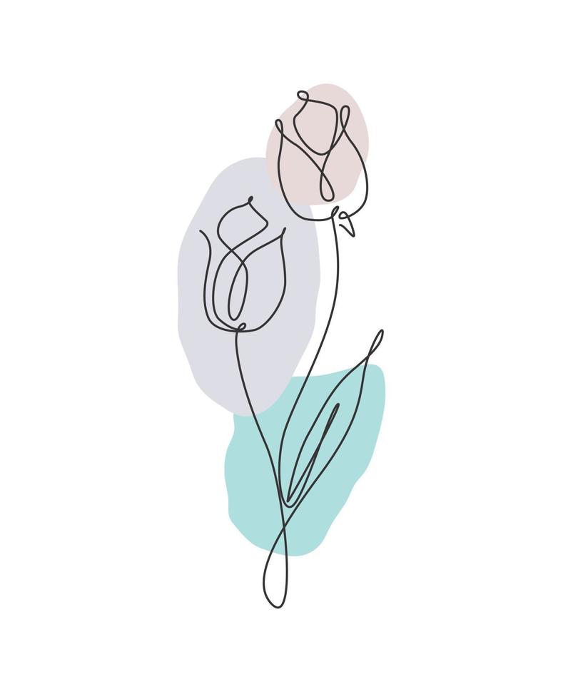 una linea continua che disegna un bellissimo fiore di tulipano astratto. concetto naturale di bellezza fresca minima. decorazione della parete della casa, poster, borsa tote, stampa su tessuto. illustrazione vettoriale grafica di disegno a linea singola