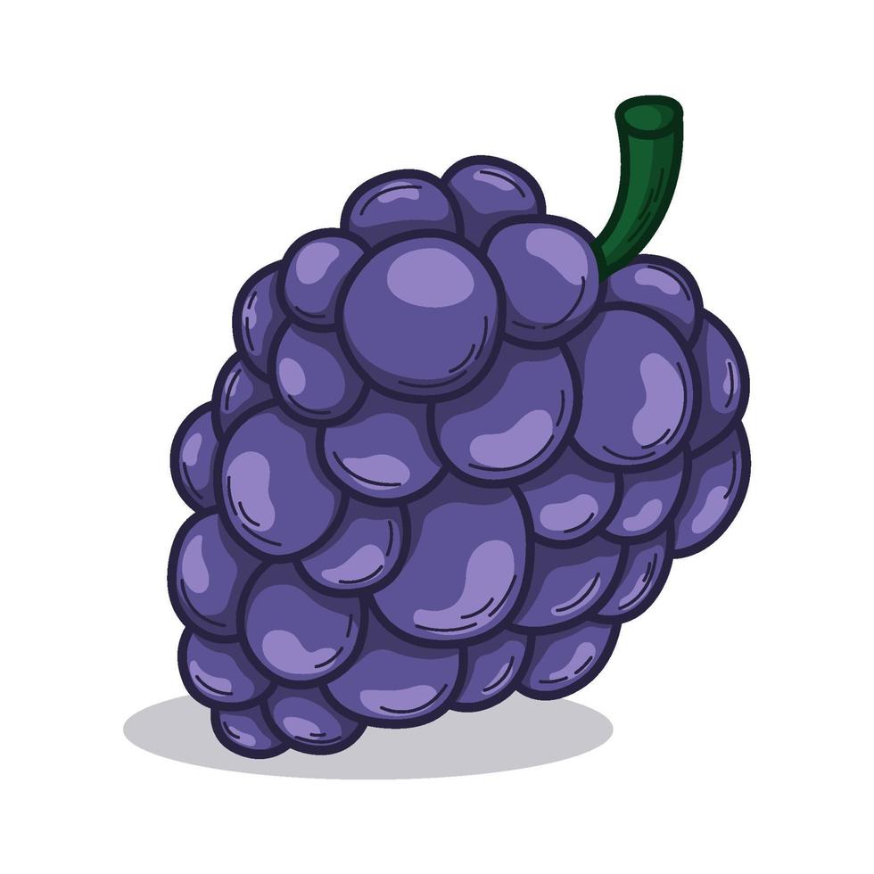 mano disegnato tropicale uva frutta vettore
