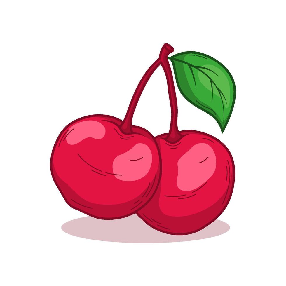 mano disegnato tropicale ciliegia frutta vettore