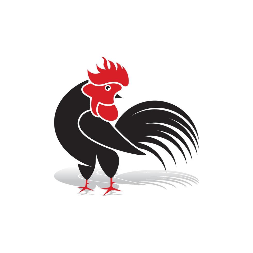 Gallo logo icona vettore e simbolo modello