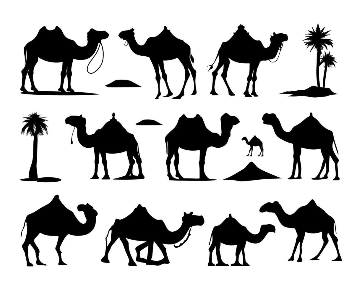 cammello silhouette impostato nero logo animali sagome icone cammello piloti deserto palma silhouette vettore illustrazione