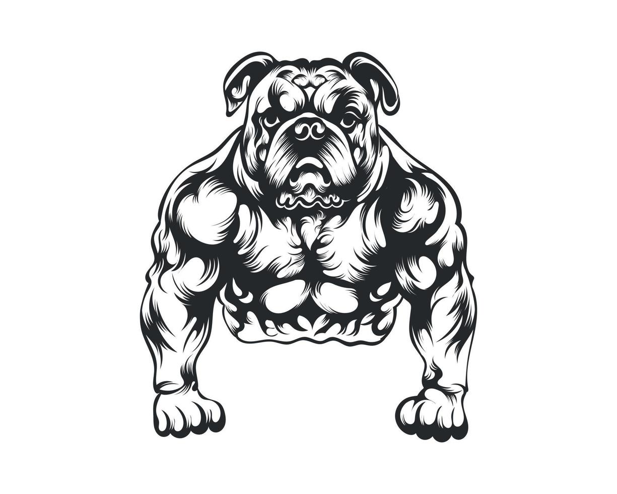nero e bianca corpo costruttore bulldog vettore illustrazione, corpo costruttore cane vettore